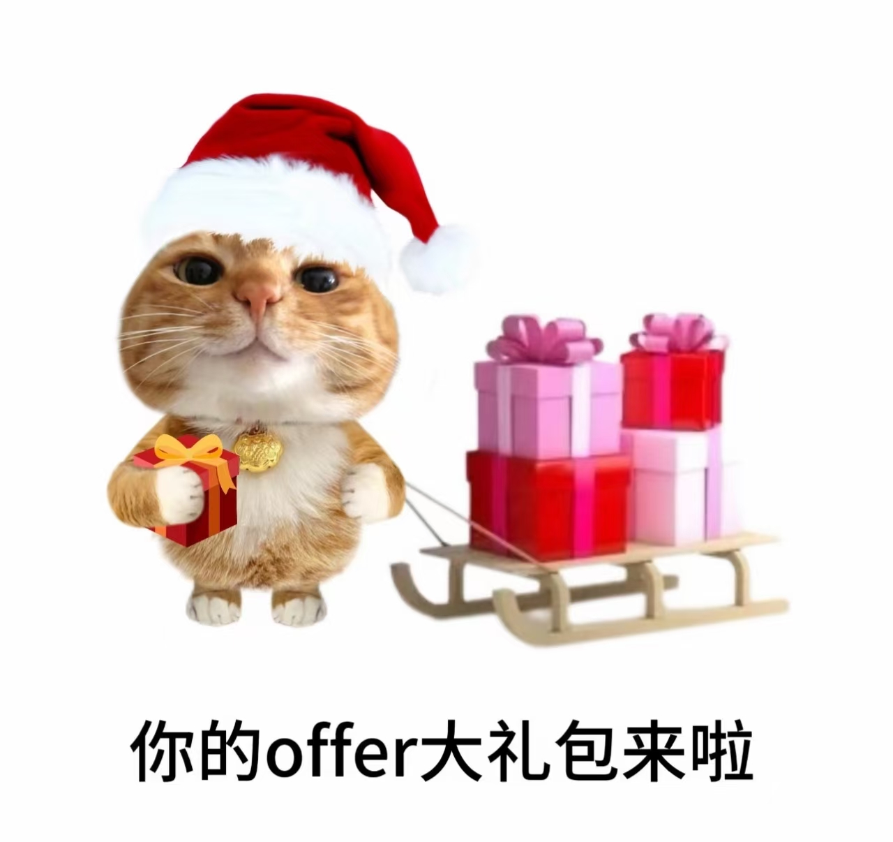 【小巴黎】求职厨房工作（串烧/Wok）