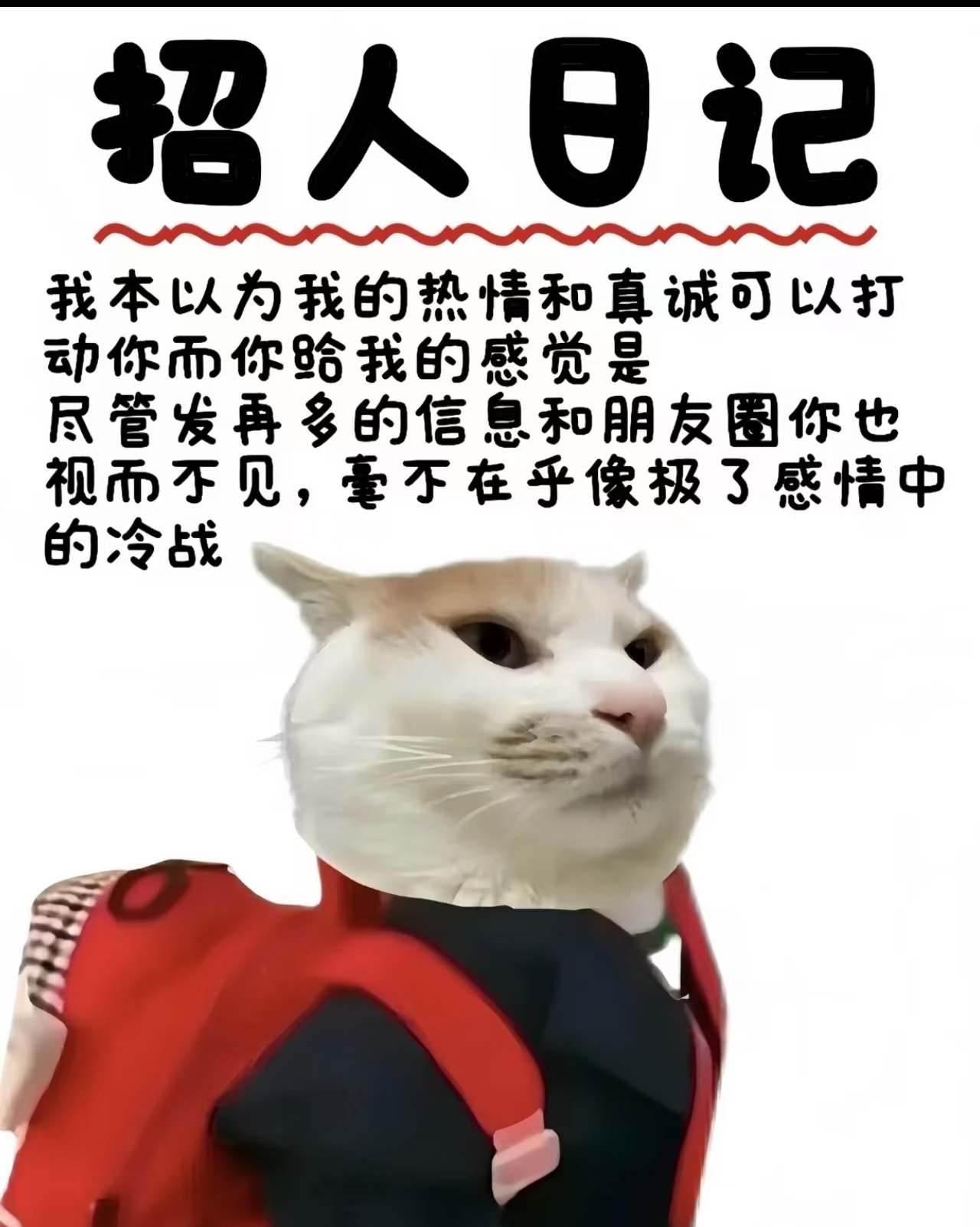 【马拉加】招聘熟练油锅（工资优，备居留，会打皮）