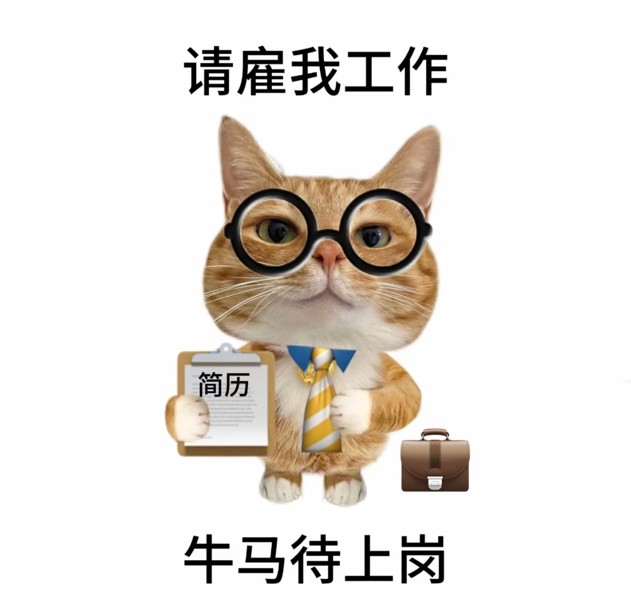 【Val-de-Marne（94省）】求职上门串烧备料（速度快，时间下午3-5:30）