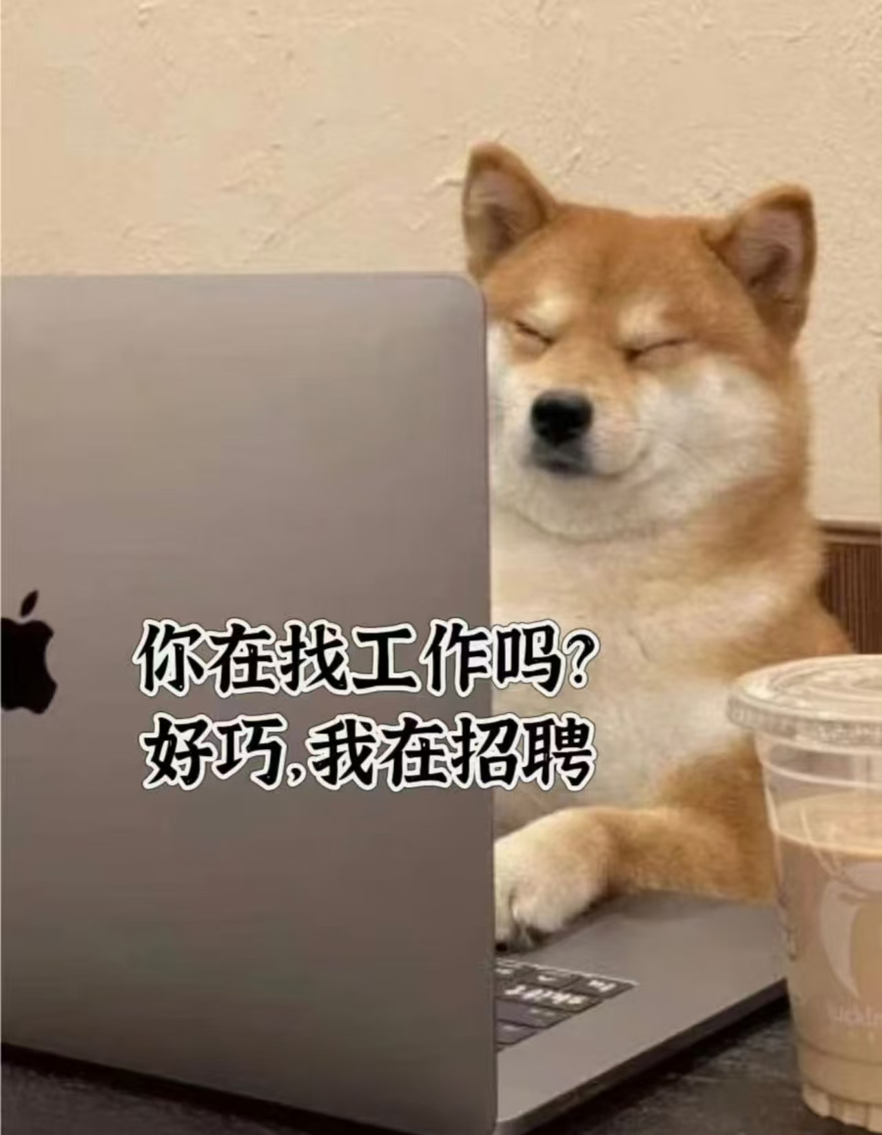 【伦敦Richmond】外卖店招聘看台（16:30-23:30，不包住）