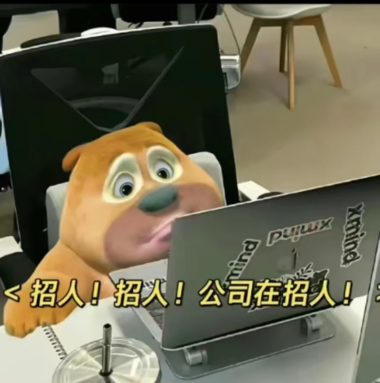 【全英国】英语/西班牙语/中文/对外汉语线上教学（985/211硕士，十年以上经验）
