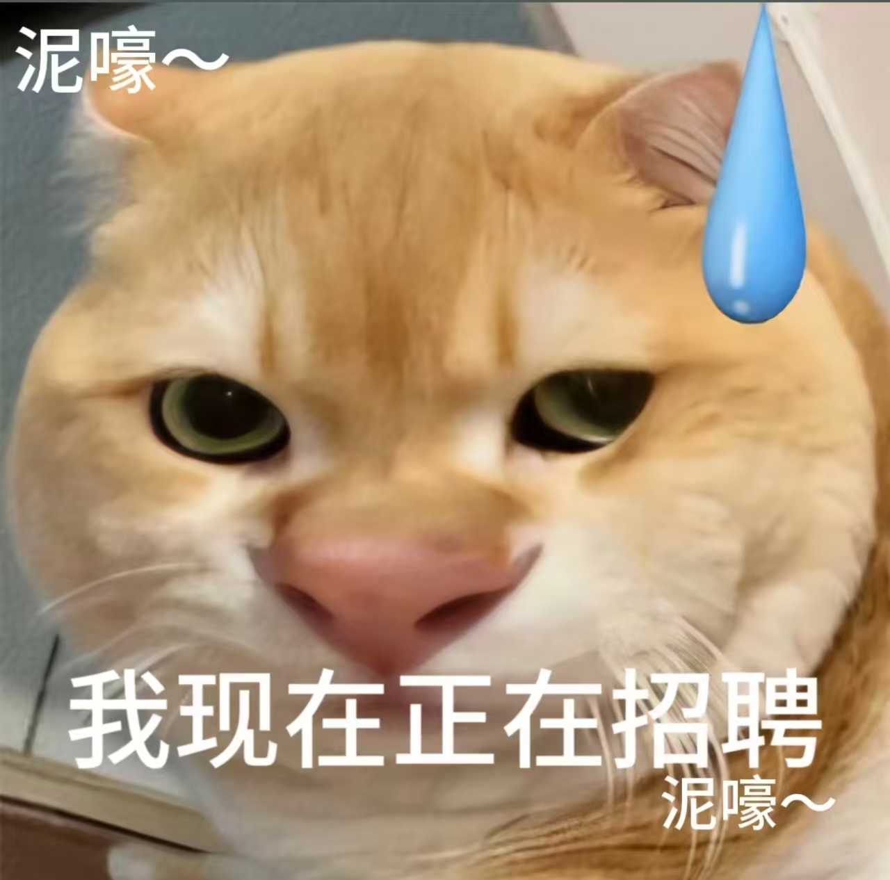 【Bologna周边】招百货店员（独立房间）