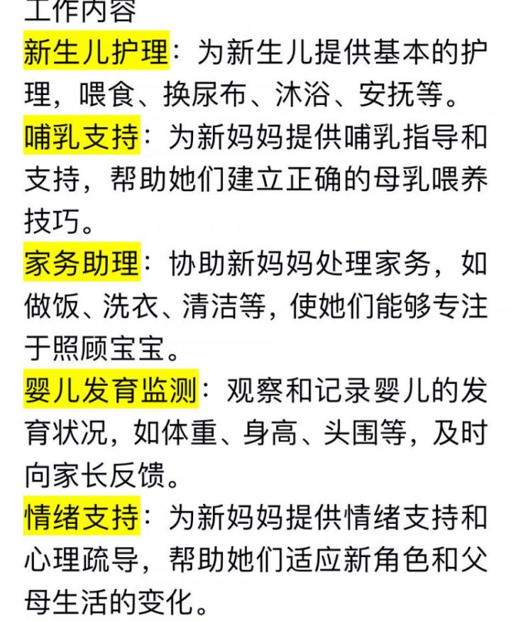 【全德】正规金牌月嫂（全欧盟可飞，十五年以上经验）