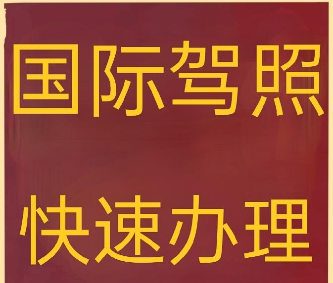 【米兰】创世通国际咨询提供证件办理服务
