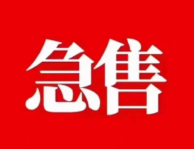 【Cumbria湖区】中餐外卖店出售