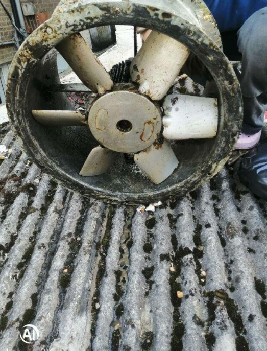 【伦敦】煤气出证及热水器安装维修