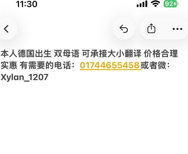 【曼海姆】提供翻译服务