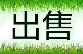 【伦敦市中心】Notting Hill W11高端商业零售项目出租