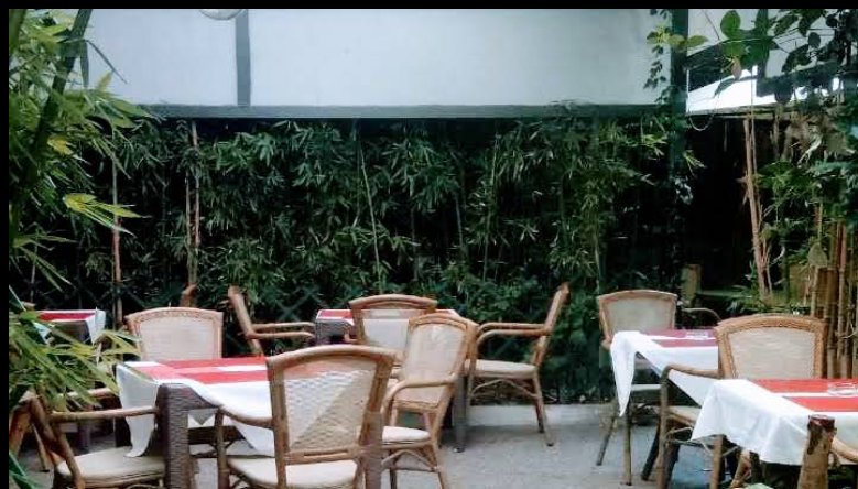 Nuovo Drago E Fenice