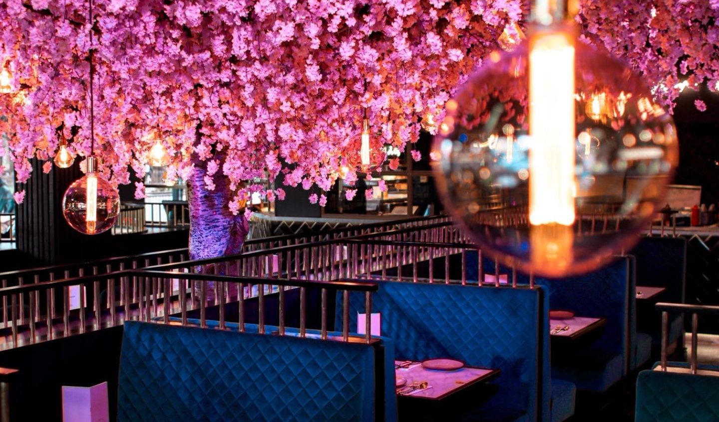 Oodles N’Oodles Restaurant Manchester