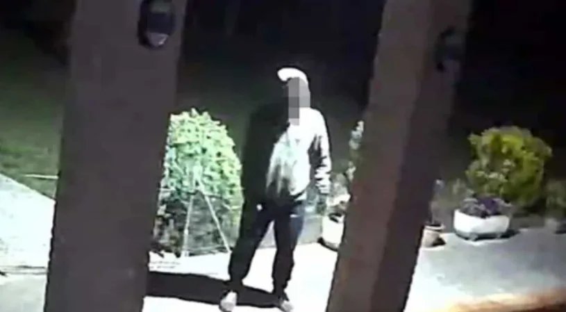 入室盗窃被吓破胆，笨贼报警求救
