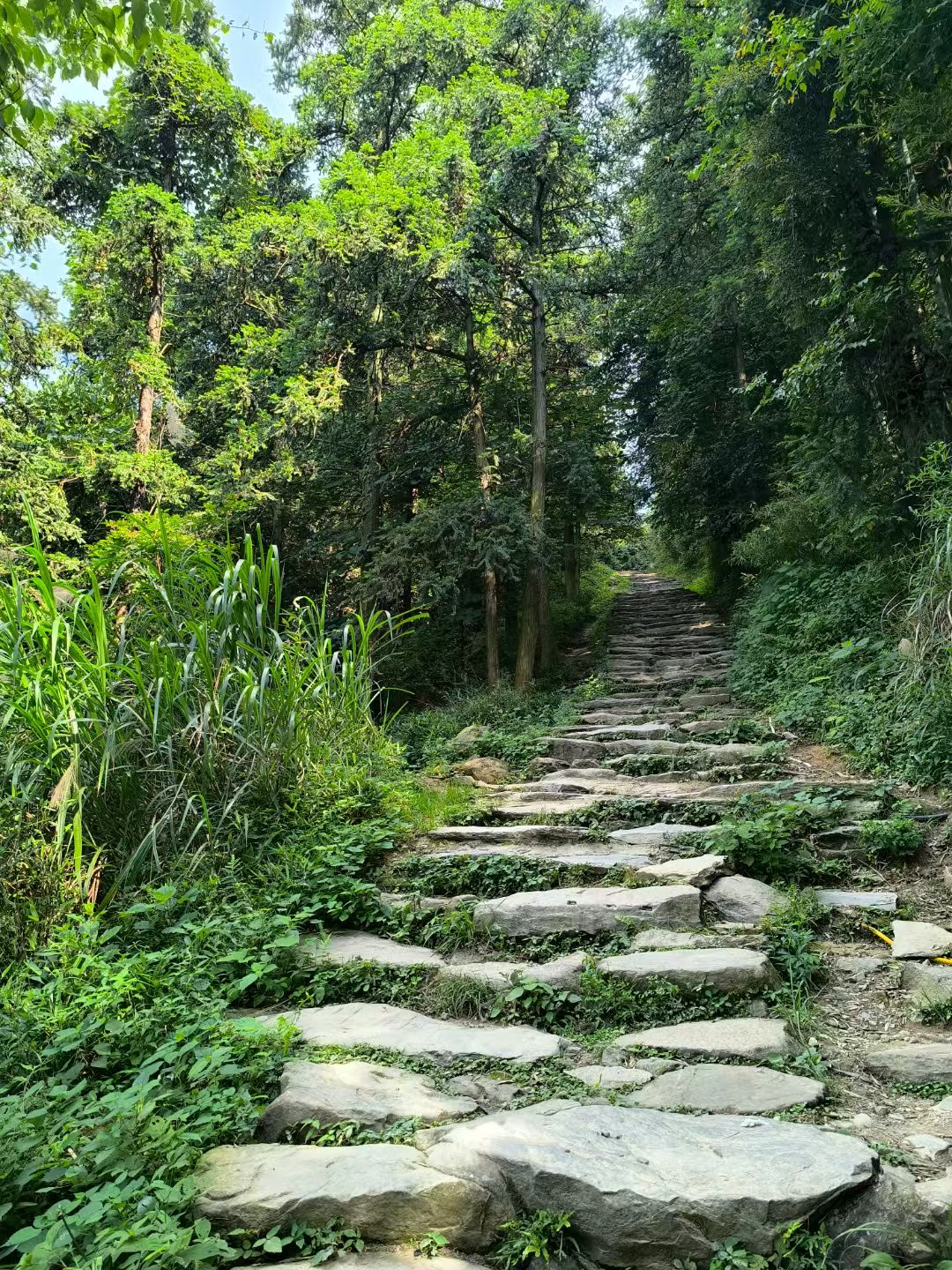 澳大利亚30岁男子在安第斯山脉失踪后被发现死亡 疑从未真正开始徒步