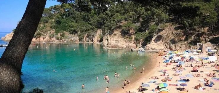 西班牙多地海滩检出粪便细菌，卫生部门紧急禁止下海