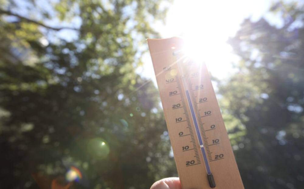 法国下周或迎“高温峰值”：最高29℃，气温明显高于季节正常水平