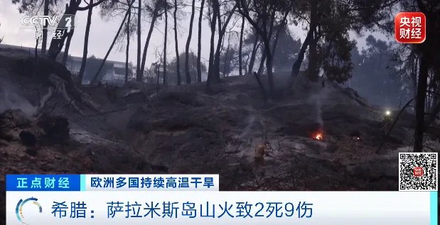 比利时、荷兰、德国，联合扑救