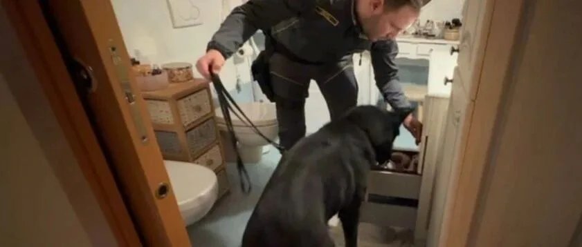 一记重拳！知名华人家族被连根拔起